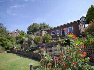 Picture 19